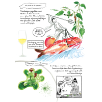 Aurita Aurélia - Smakelijk Leven