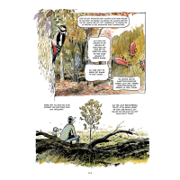 Peter Wohlleben - Het verborgen leven van bomen